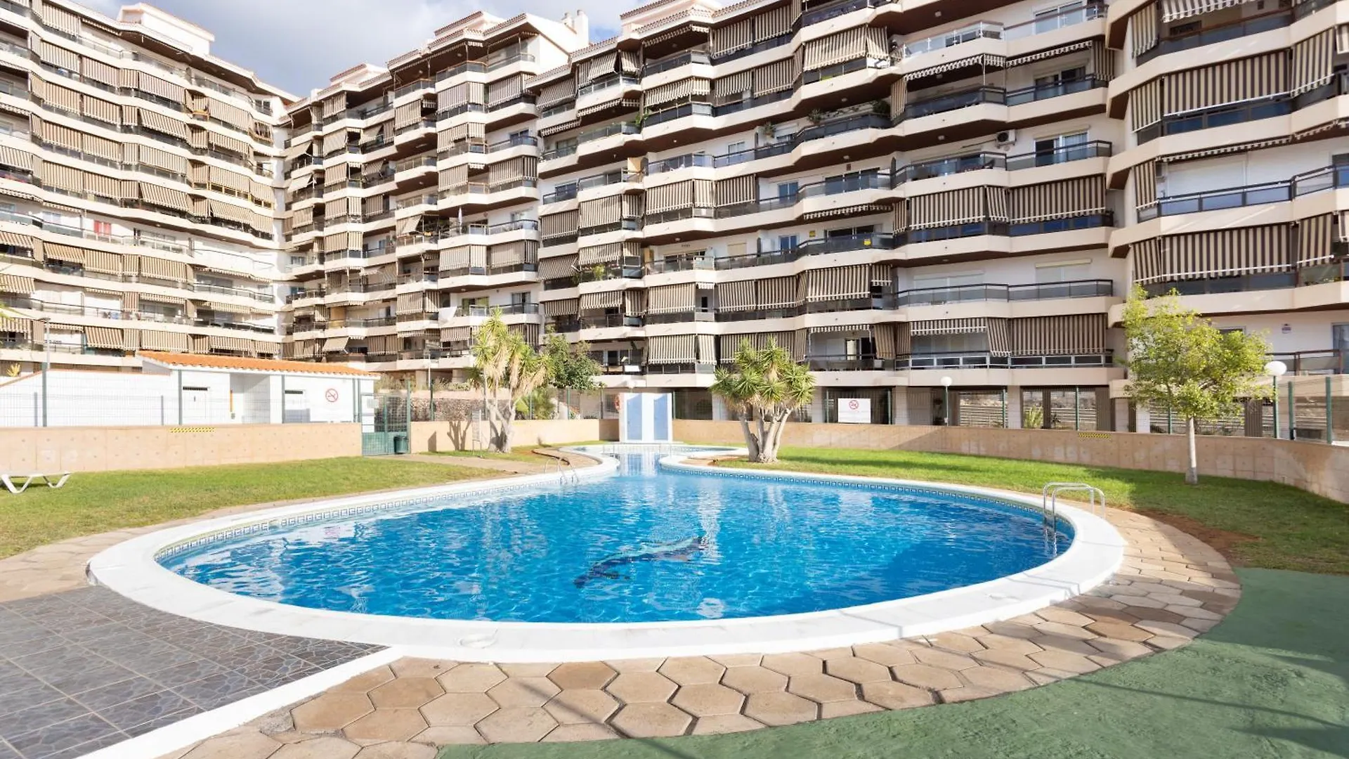 Apartamento Jasmine Arona  Daire Arona (Tenerife)